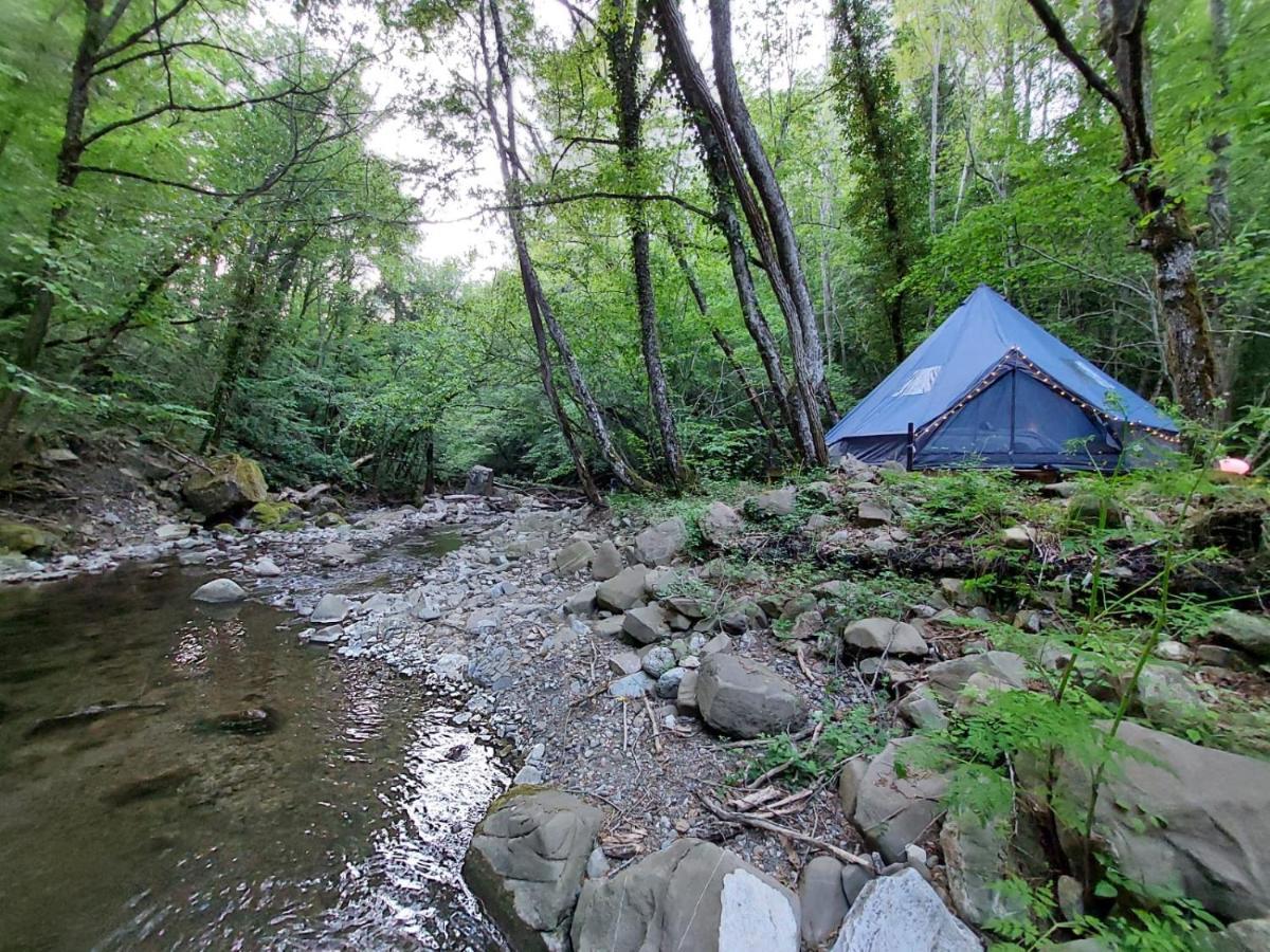 Senxunia Glamping Nel Bosco Zancona Exterior foto